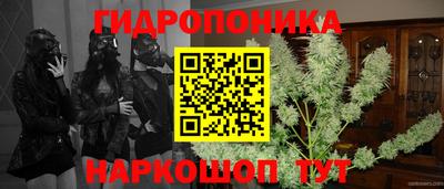 мдма Гусев