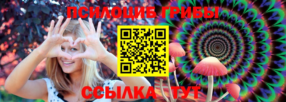 Псилоцибиновые грибы Psilocybine cubensis  Галлюциногенные грибы GOLDEN TEACHER  Электросталь  Вход с VPN 