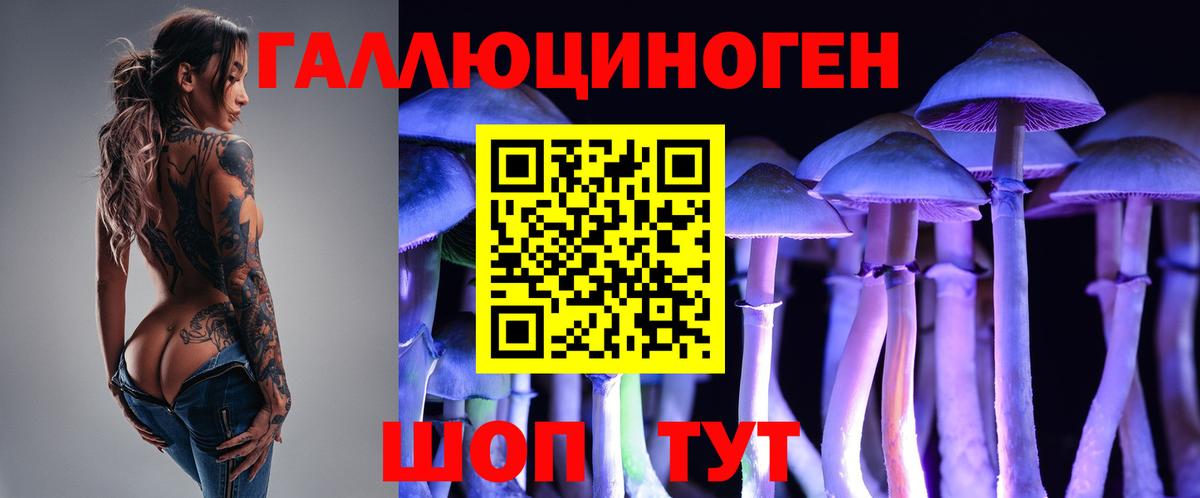 Псилоцибиновые грибы Psilocybine cubensis Электросталь
